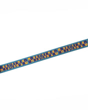 Load image into Gallery viewer, Checkered Dog Leash - Teal
